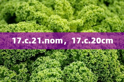 17.c.21.nom，17.c.20cm