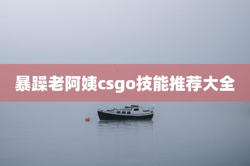 暴躁老阿姨csgo技能推荐大全