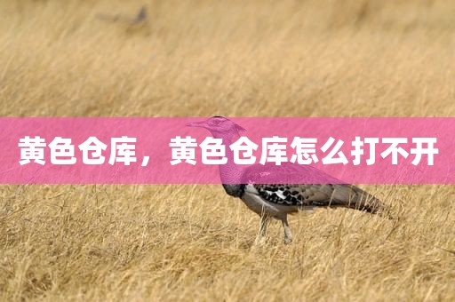 黄色仓库，黄色仓库怎么打不开