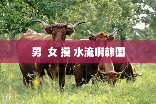 男  女 摸 水流啊韩国