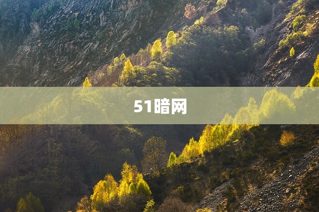 51暗网