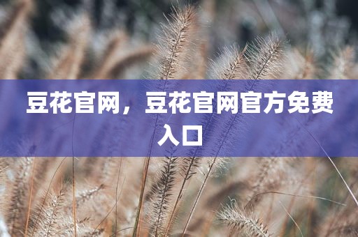 豆花官网，豆花官网官方免费入口