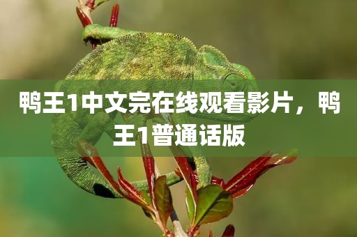 鸭王1中文完在线观看影片，鸭王1普通话版