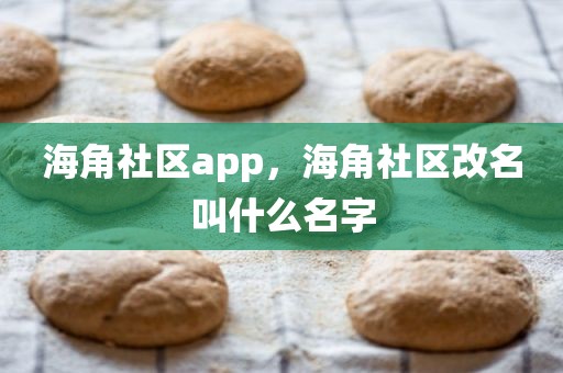 海角社区app，海角社区改名叫什么名字