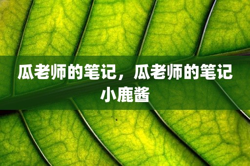 瓜老师的笔记，瓜老师的笔记小鹿酱