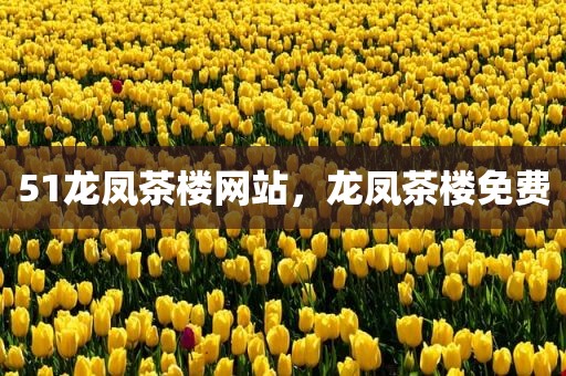 51龙凤茶楼网站，龙凤茶楼免费