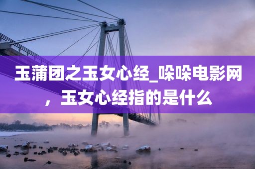 玉蒲团之玉女心经_哚哚电影网，玉女心经指的是什么