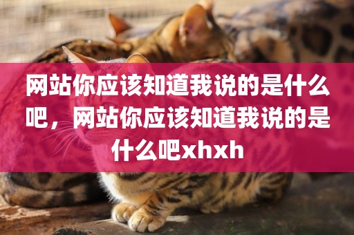 网站你应该知道我说的是什么吧，网站你应该知道我说的是什么吧xhxh