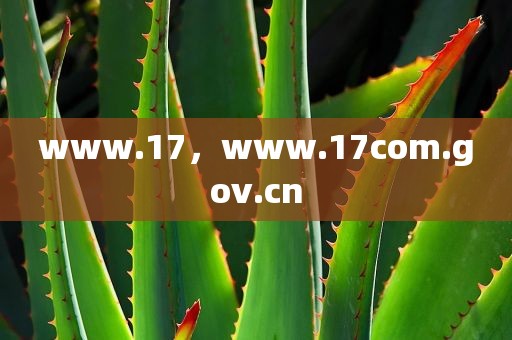 www.17，www.17com.gov.cn