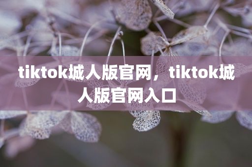tiktok城人版官网，tiktok城人版官网入口