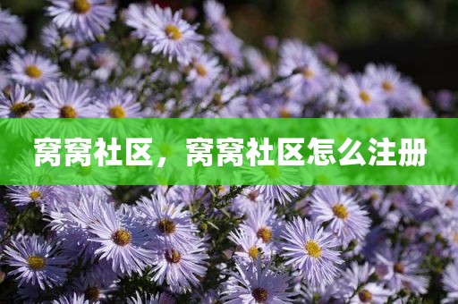 窝窝社区，窝窝社区怎么注册