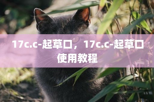 17c.c-起草口，17c.c-起草口使用教程