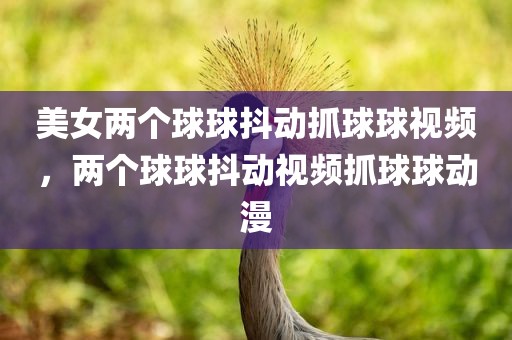 美女两个球球抖动抓球球视频，两个球球抖动视频抓球球动漫