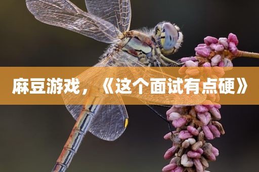 麻豆游戏，《这个面试有点硬》