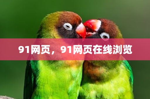 91网页，91网页在线浏览
