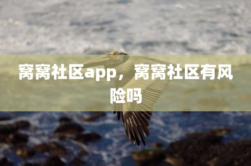 窝窝社区app，窝窝社区有风险吗