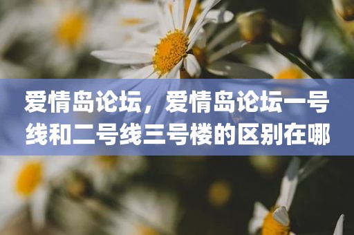 爱情岛论坛，爱情岛论坛一号线和二号线三号楼的区别在哪