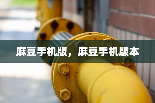 麻豆手机版，麻豆手机版本