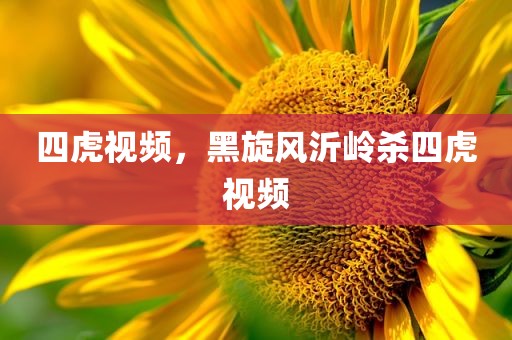四虎视频，黑旋风沂岭杀四虎视频