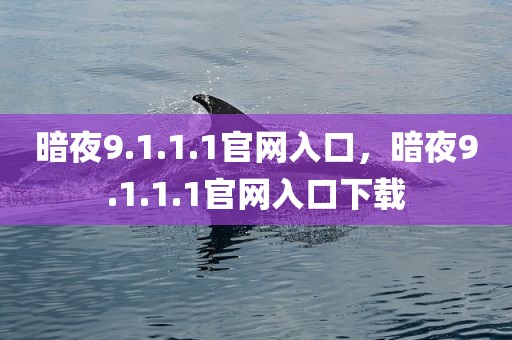 暗夜9.1.1.1官网入口，暗夜9.1.1.1官网入口下载