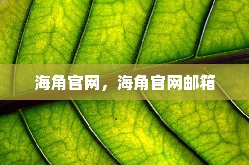 海角官网，海角官网邮箱