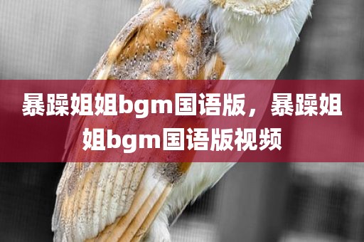 暴躁姐姐bgm国语版，暴躁姐姐bgm国语版视频