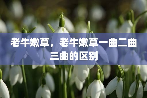 老牛嫩草，老牛嫩草一曲二曲三曲的区别