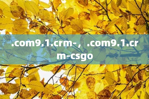 .com9.1.crm-，.com9.1.crm-csgo