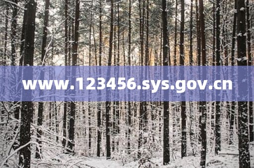 www.123456.sys.gov.cn