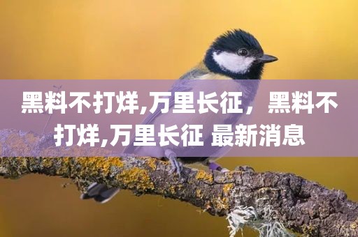 黑料不打烊,万里长征，黑料不打烊,万里长征 最新消息