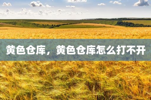 黄色仓库，黄色仓库怎么打不开