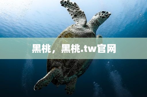 黑桃，黑桃.tw官网