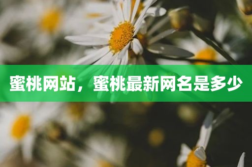 蜜桃网站，蜜桃最新网名是多少