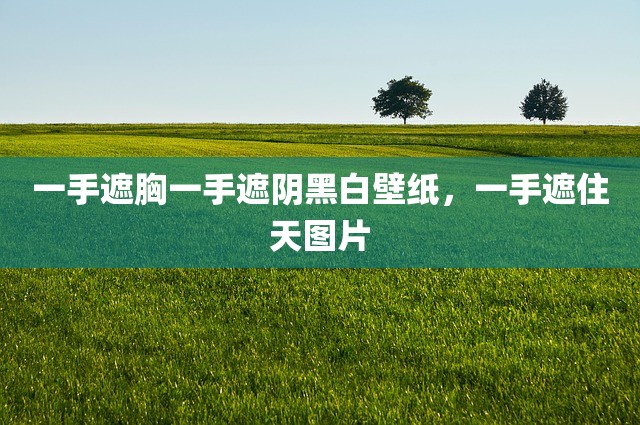 一手遮胸一手遮阴黑白壁纸，一手遮住天图片