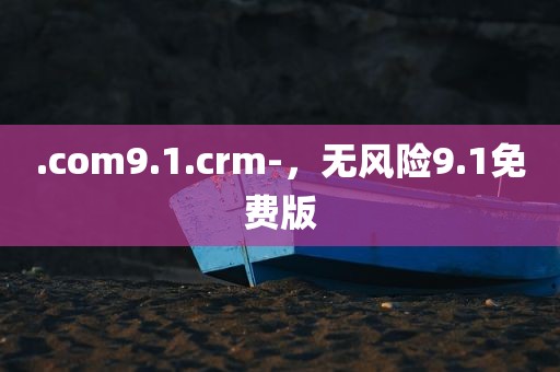 .com9.1.crm-，无风险9.1免费版