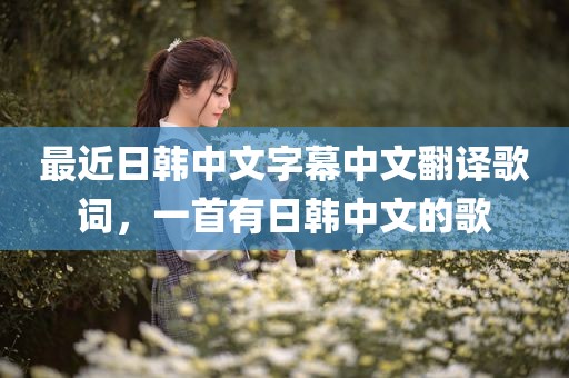 最近日韩中文字幕中文翻译歌词，一首有日韩中文的歌