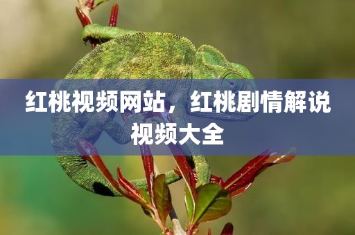 红桃视频网站，红桃剧情解说视频大全