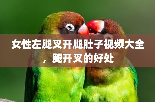 女性左腿叉开腿肚子视频大全，腿开叉的好处