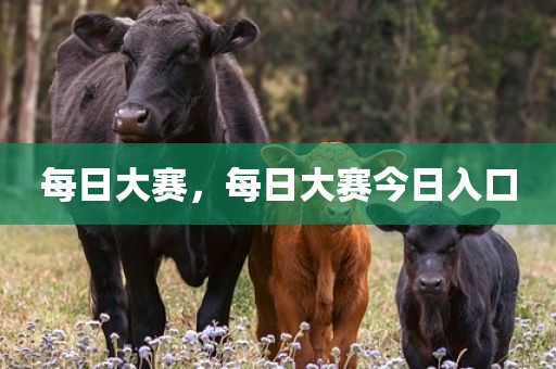 每日大赛，每日大赛今日入口