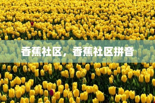 香蕉社区，香蕉社区拼音