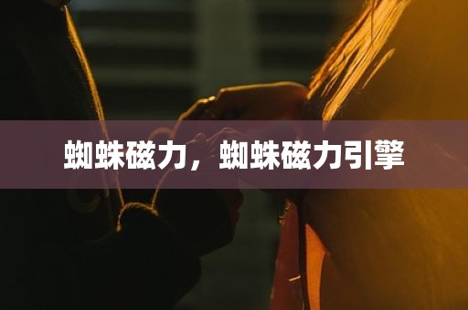 蜘蛛磁力，蜘蛛磁力引擎