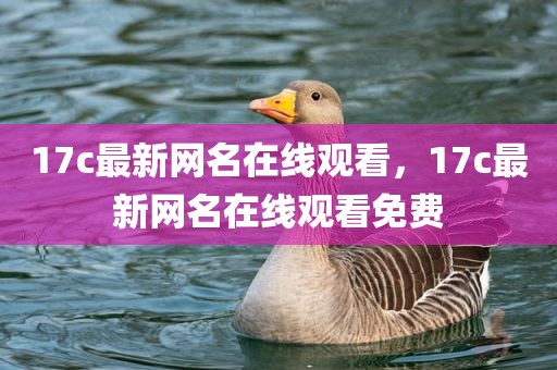 17c最新网名在线观看，17c最新网名在线观看免费