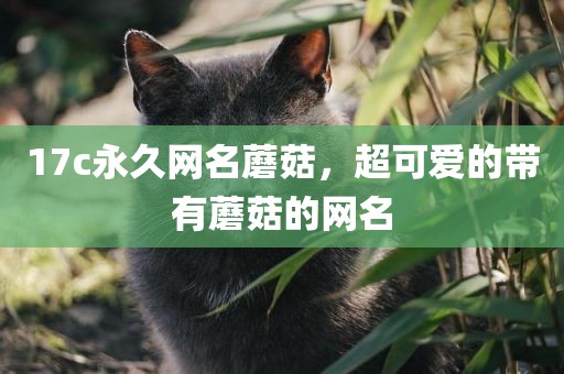17c永久网名蘑菇，超可爱的带有蘑菇的网名