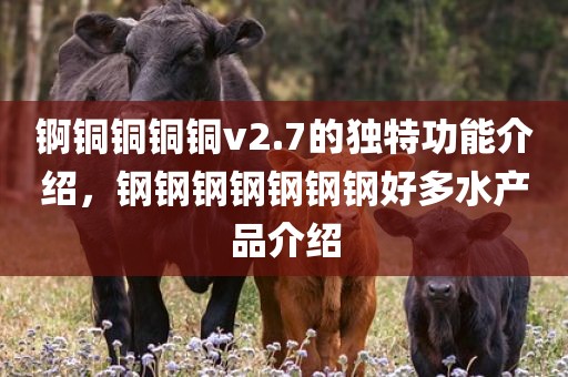 锕铜铜铜铜v2.7的独特功能介绍，钢钢钢钢钢钢钢好多水产品介绍