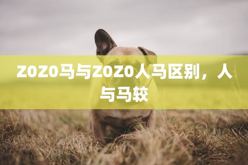 Z0Z0马与Z0Z0人马区别，人与马较