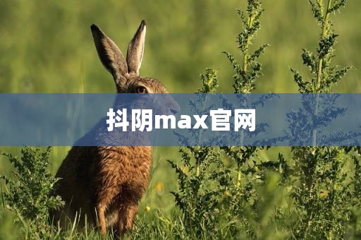 抖阴max官网