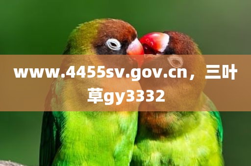 www.4455sv.gov.cn，三叶草gy3332