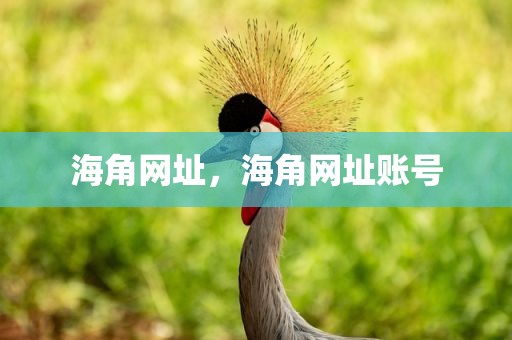 海角网址，海角网址账号