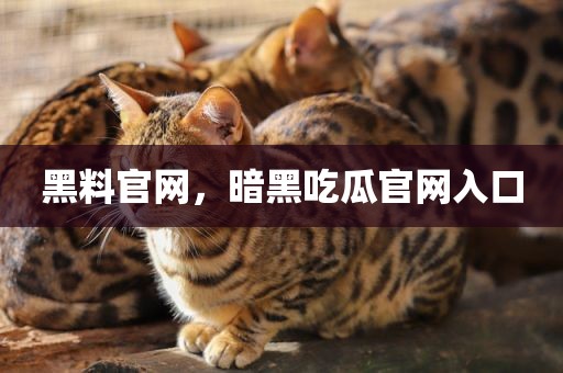 黑料官网，暗黑吃瓜官网入口