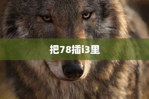 把78插i3里